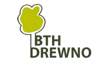 BTH Drewno Logo